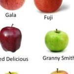 Nutrition facts of gala apple