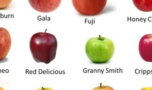 Nutrition facts of gala apple